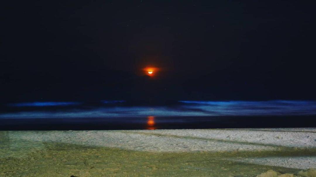 Trippr Gokarna - Beach Hostel エクステリア 写真